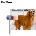 2021 the Newest  Rental  Model Pain Management Lasers Dr. Recommend Pain Relief Laser Devices Suitable for animals